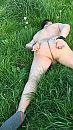 Geboeid, foto 360x640, 0 reacties, 5 stemmen