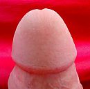 Genotsknop, foto 1200x1199, 0 reacties, 1 stemmen