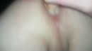 Geschoren en dan doorpalen...., film 00:00:00, 9 reacties, 45 stemmen