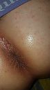 Ggh, foto 1440x2560, 0 reacties, 4 stemmen
