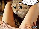 Goed gezien...., foto 382x290, 5 reacties, 11 stemmen
