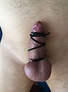 Goed ingebonden, foto 2448x3264, 7 reacties, 25 stemmen