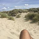 Goed kijken, foto 2448x2448, 6 reacties, 26 stemmen