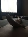 Goeiemorgen, foto 3000x4000, 0 reacties, 6 stemmen