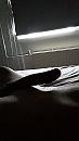 Good morning....., foto 720x1280, 0 reacties, 2 stemmen