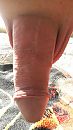 Hangend, foto 1836x3264, 11 reacties, 27 stemmen
