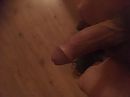Heerlijk hard, foto 4000x3000, 5 reacties, 4 stemmen