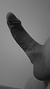 Hij is, foto 1152x2048, 0 reacties, 2 stemmen