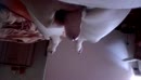 Hmmmm, film 00:00:00, 2 reacties, 12 stemmen