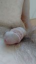 Hulp gezocht..., foto 1440x2560, 3 reacties, 5 stemmen