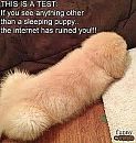 Humor, foto 299x315, 0 reacties, 2 stemmen
