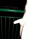 Iets gegroeid buiten..., foto 3000x4000, 4 reacties, 22 stemmen
