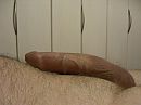 In afwachting, foto 2048x1536, 0 reacties, 2 stemmen
