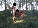 In het bos, foto 1008x756, 14 reacties, 108 stemmen