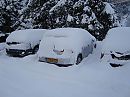 Ingesneeuwd, foto 3264x2448, 2 reacties, 6 stemmen