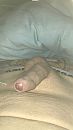Intense sex, foto 2096x3724, 0 reacties, 0 stemmen