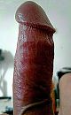 KOP OP!!, foto 630x1022, 0 reacties, 1 stemmen