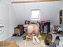 Kontgeil, foto 3264x2448, 2 reacties, 9 stemmen