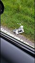 Lag langs het brielse meer, foto 750x1334, 4 reacties, 19 stemmen