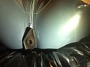 Latex assplay, foto 1280x960, 1 reacties, 18 stemmen