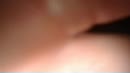 Lekker kontneuken, film 00:00:26, 4 reacties, 43 stemmen