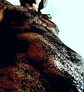 Lekker Vies, foto 1078x1180, 0 reacties, 0 stemmen