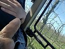 Lekker in de zon, foto 2592x1944, 0 reacties, 2 stemmen
