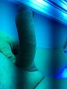 Lekkere warme pik, foto 720x960, 3 reacties, 4 stemmen
