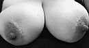 Let’s play!, foto 1178x646, 64 reacties, 181 stemmen