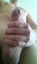 Ligt lekker in de hand, foto 306x519, 1 reacties, 2 stemmen