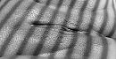 Luxaflex..., foto 1184x619, 37 reacties, 125 stemmen