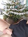 Merry X-mas, foto 1944x2592, 5 reacties, 11 stemmen