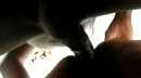 Met een ISMer, film 00:00:00, 5 reacties, 80 stemmen