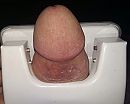Middelpunt van de aandacht, foto 2490x2008, 0 reacties, 2 stemmen
