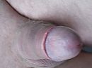 Mijn dikke eikel, foto 2048x1536, 0 reacties, 3 stemmen