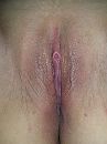 M'n poesje..., foto 2448x3264, 16 reacties, 58 stemmen