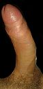 Nachtelijke penis, foto 1121x2303, 14 reacties, 15 stemmen