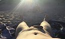 Nazomeren, foto 2906x1744, 10 reacties, 35 stemmen