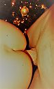 Neuken onder de kerstboom, foto 2456x4000, 0 reacties, 4 stemmen