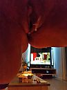 Niet zo'n goede foto....., foto 1181x1574, 7 reacties, 37 stemmen