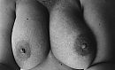 Nog, foto 1013x623, 5 reacties, 63 stemmen
