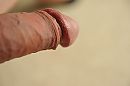 O ja, foto 4000x2661, 0 reacties, 1 stemmen
