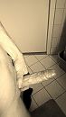 Ook 1 die, foto 2250x4000, 1 reacties, 5 stemmen