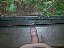 Ook hij wil afkoeling op, foto 1836x1377, 3 reacties, 4 stemmen