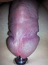 Op vraag van, foto 2448x3264, 6 reacties, 8 stemmen