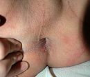 Open en smooth, foto 900x783, 1 reacties, 7 stemmen