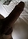 Paasbest, foto 1840x2488, 1 reacties, 5 stemmen