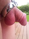 Penisring, foto 2448x3264, 6 reacties, 14 stemmen
