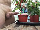 Pic a hot pepper, foto 2576x1932, 1 reacties, 8 stemmen