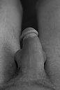 Pik, foto 265x400, 5 reacties, 24 stemmen